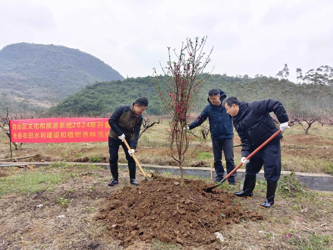 QQͼƬ20240319160759