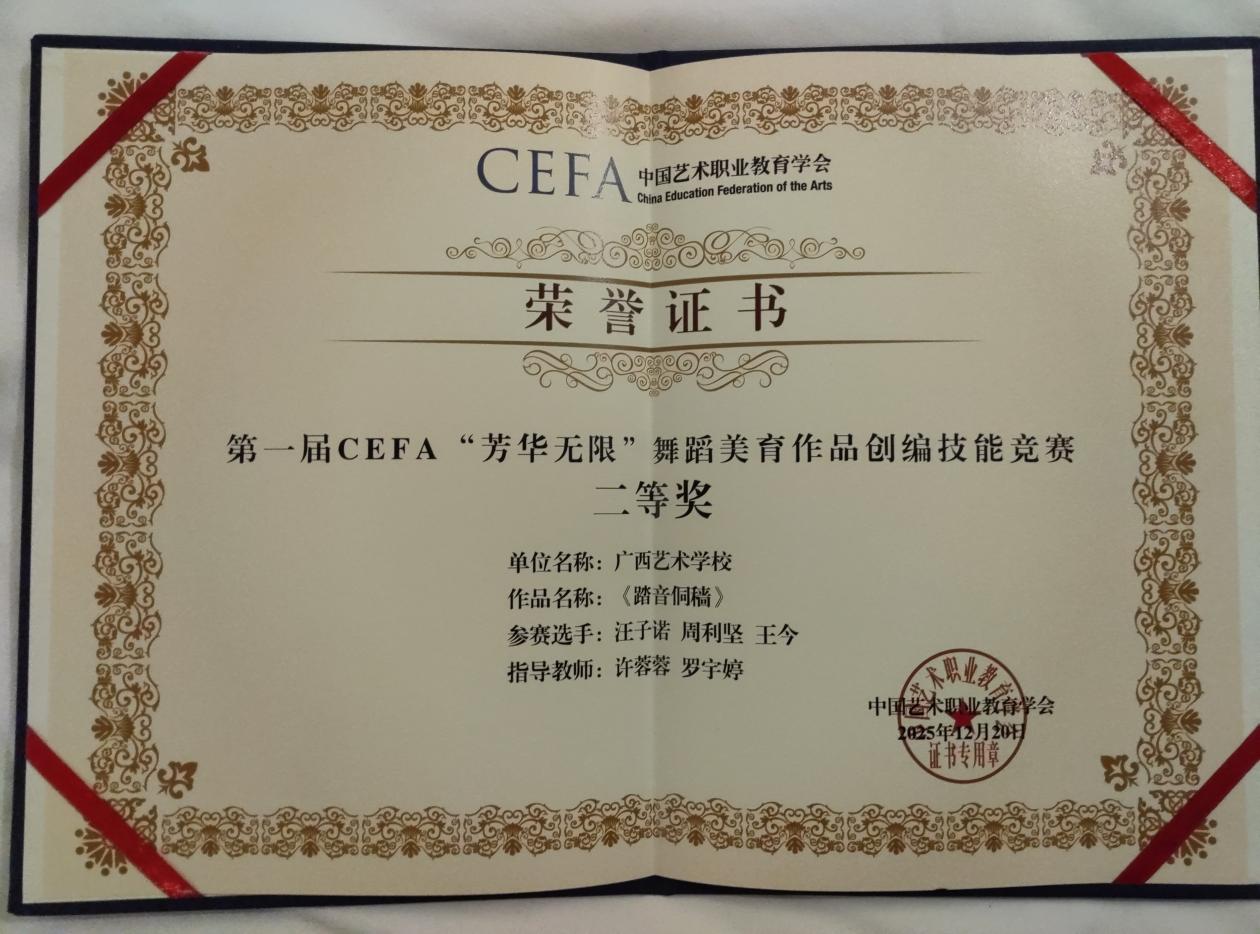 CEFA无锡比赛奖项1
