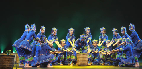 �赸����רҵ