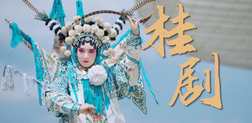 Ϸ������רҵ