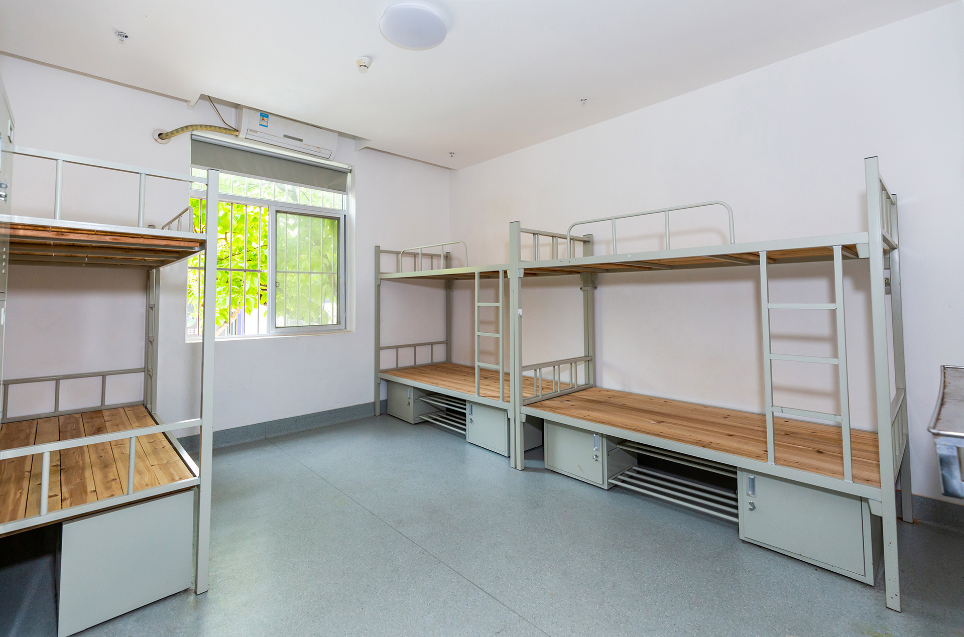 ѧ������